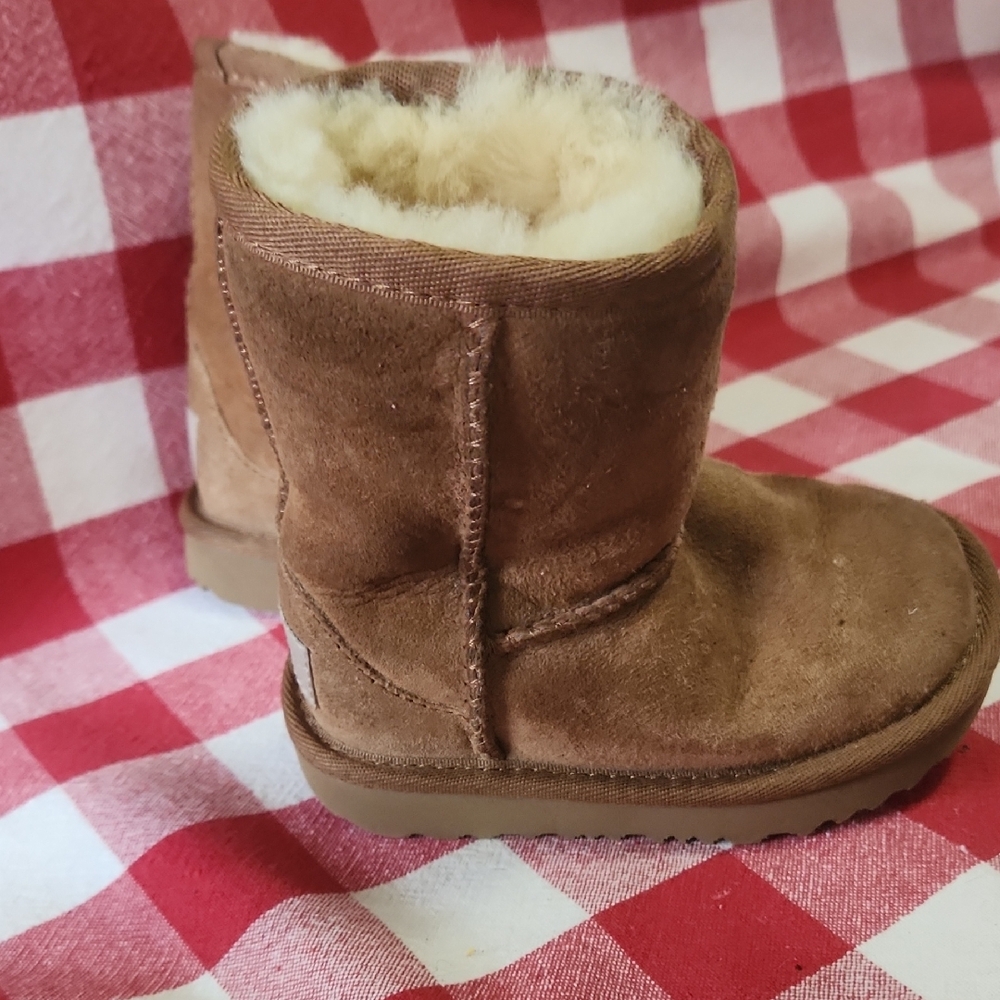 Ugg Brown Suede Shearling Boots